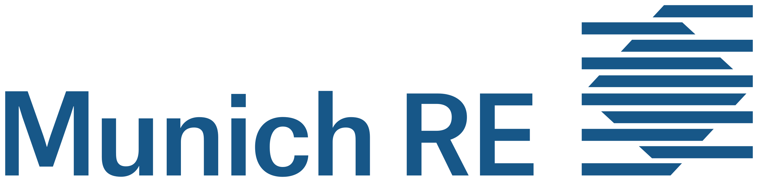 Munich RE Insurances Logo